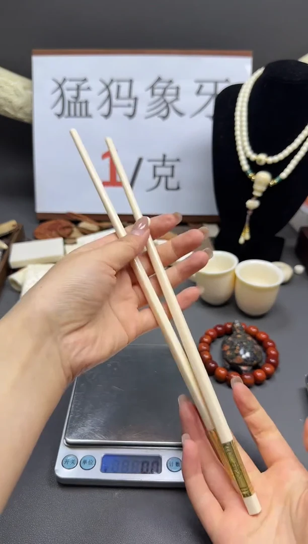猛犸筷子一双++++++