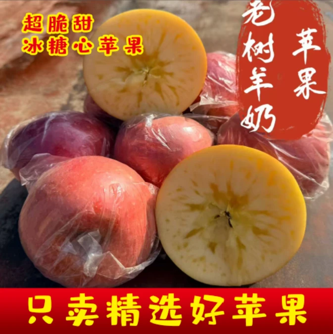 【坏果包赔】山西爆汁羊奶苹果冰糖心丑苹果新鲜现摘脆甜多汁鲜果