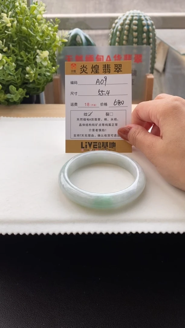 未镶嵌手镯翡翠55.2圈号编码A09