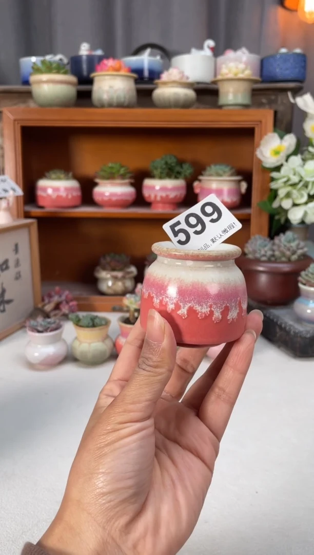 瓷片599知木小芳花盆