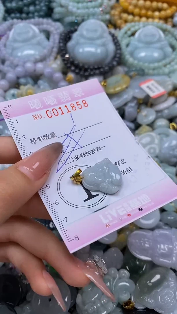 翡翠未镶嵌颈饰闪购001858多样性发其一