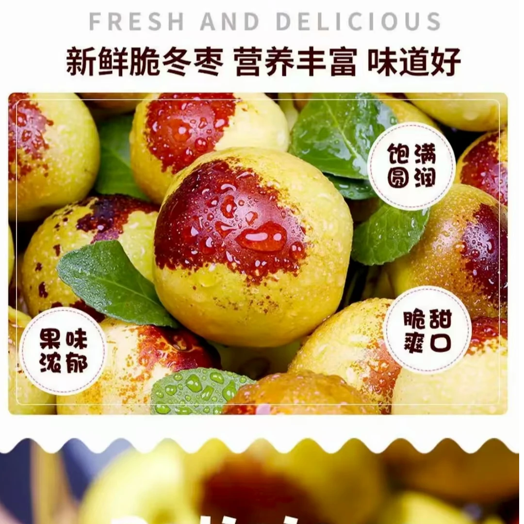 山东沾化现摘新鲜冰糖冬枣脆甜可口当季水果