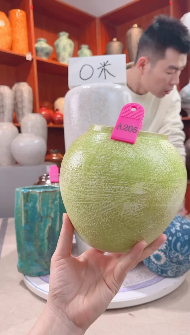 【闪购商品】瓶a205可以水培 陶瓷花瓶 无花