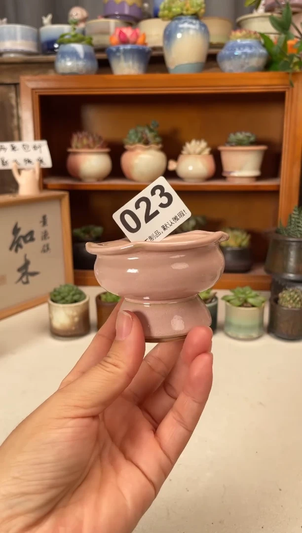 瓷片023知木小芳花盆直播编号