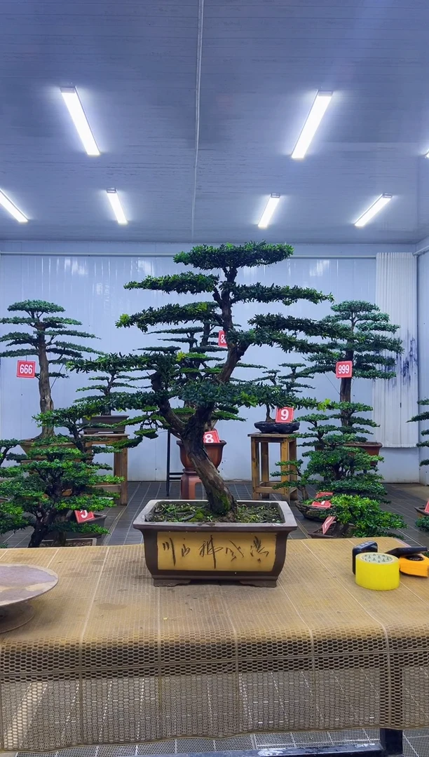 我****中000000000000000000