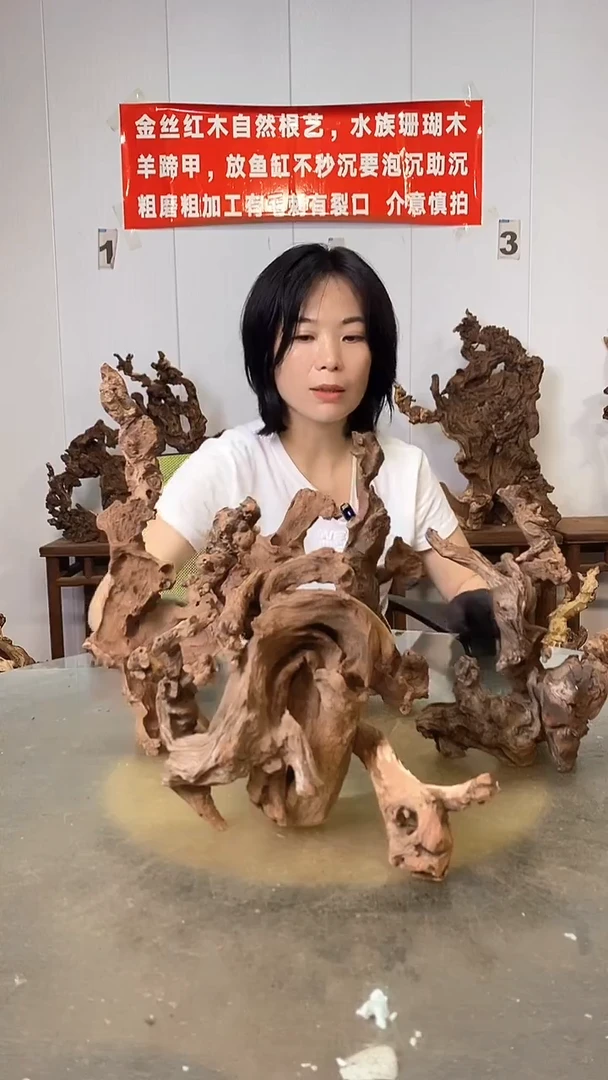 香榧木争***！金丝红木   羊蹄甲