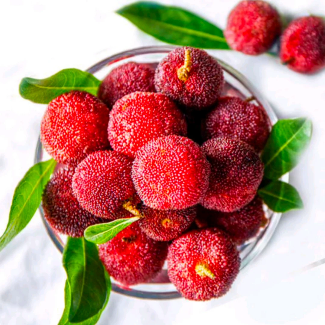 【杨梅】新鲜杨梅1盒约400-440g