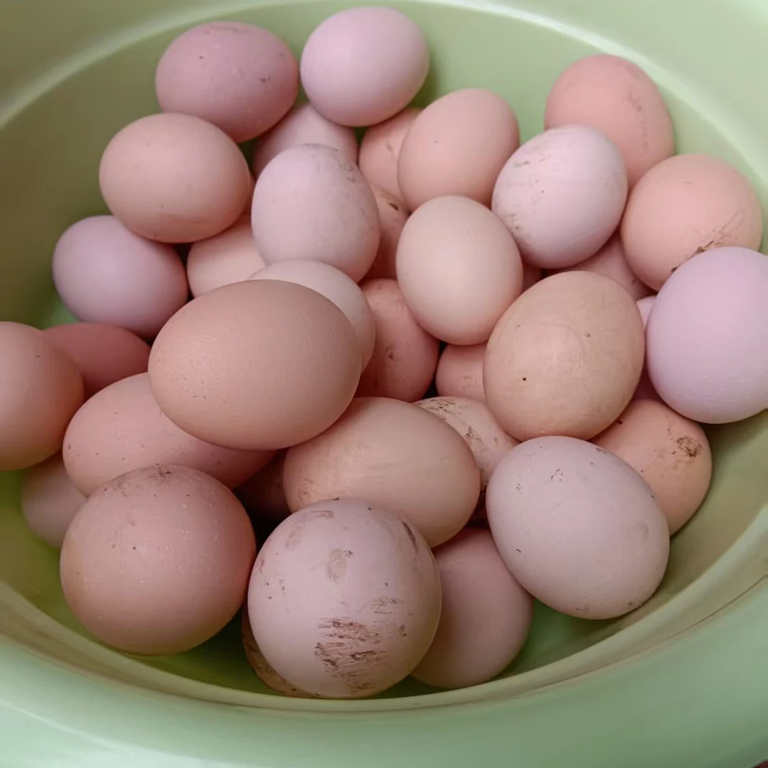 农家土鸡蛋纯粮食喂养30枚包邮