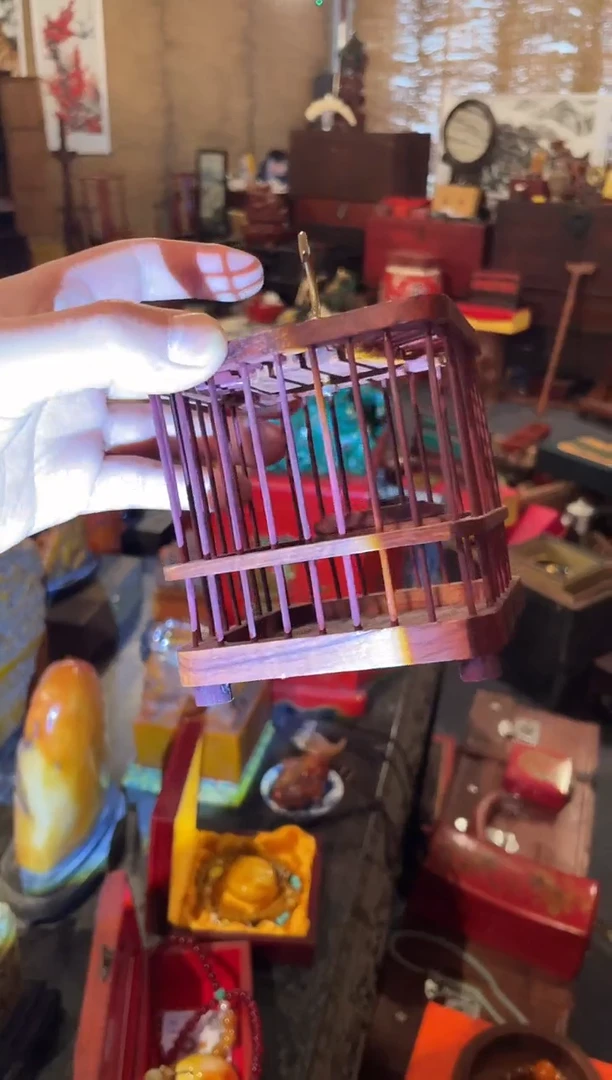 【闪购商品】一一一一一一蝈蝈