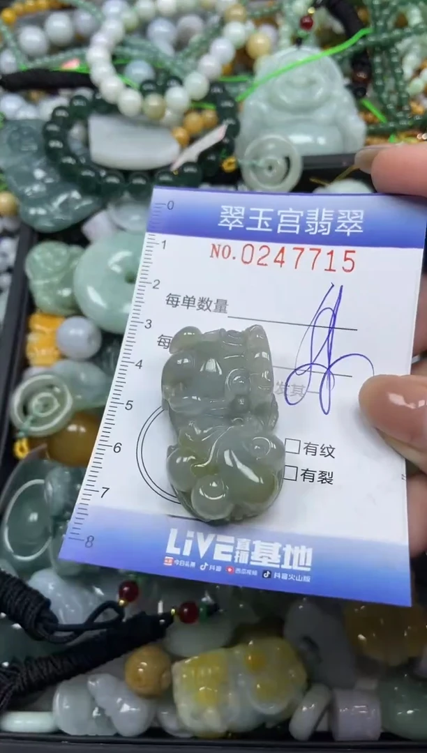 颈饰未镶嵌翡翠闪购C0247715