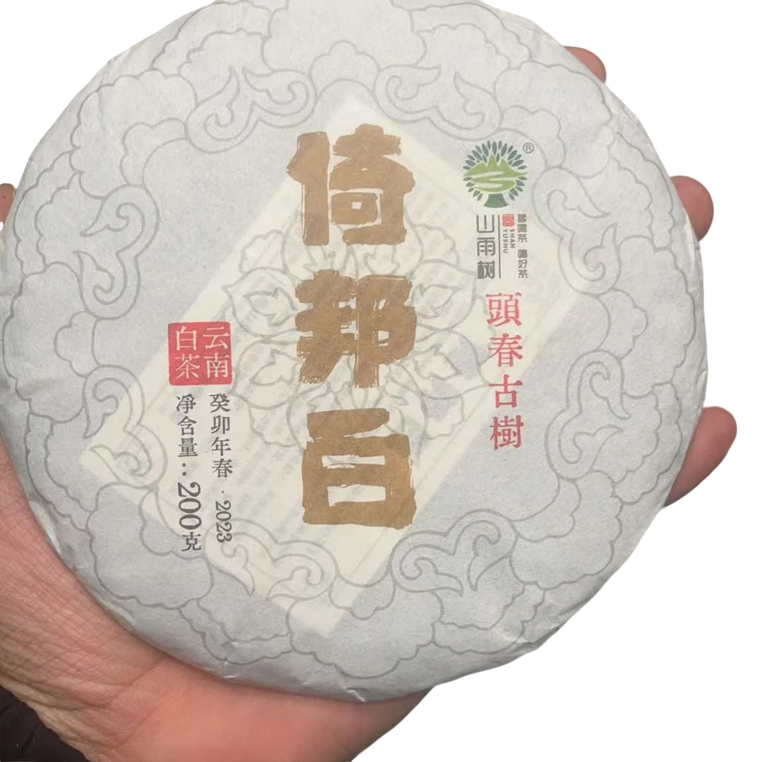 【老九好茶】2023年倚邦白头春古树 200g/饼