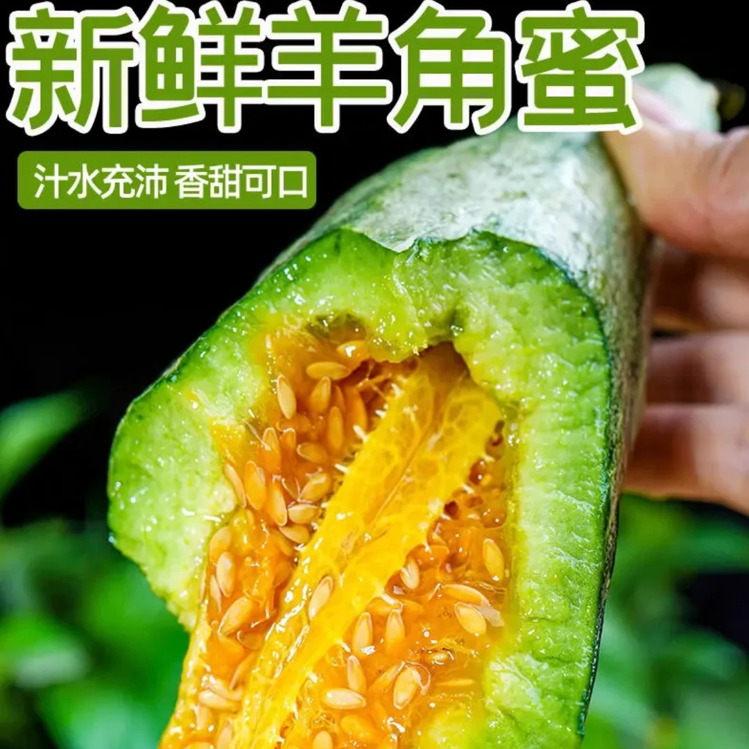羊角蜜甜瓜应季鲜果酥脆香甜口口好滋味