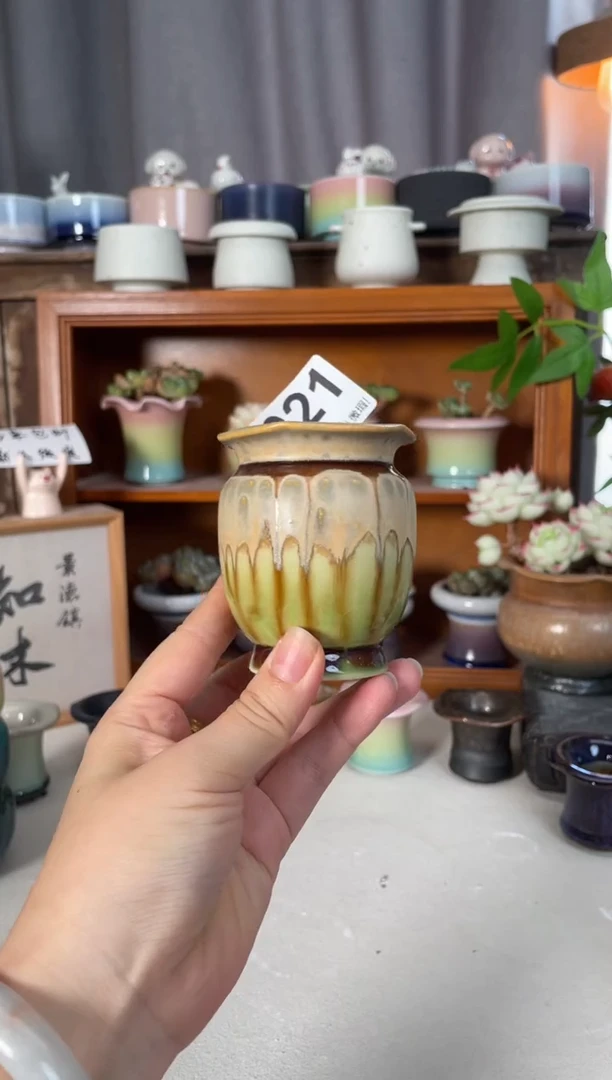瓷片021小芳直播编号