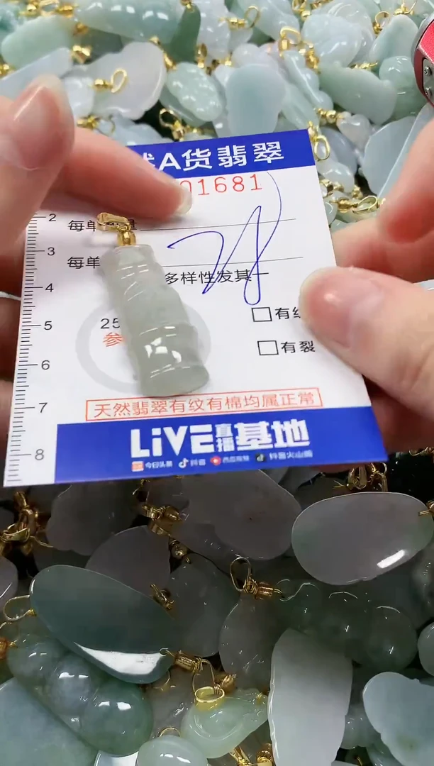 颈饰未镶嵌翡翠纯天然a货翡翠