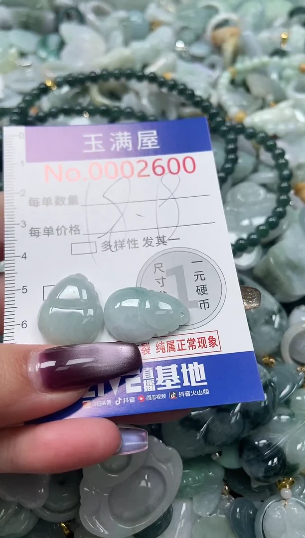 颈饰未镶嵌翡翠2600