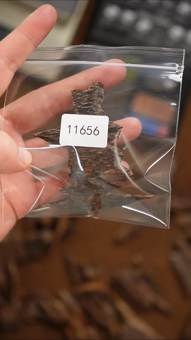 沉香碎屑沉香小*11656-6.9g越南芽庄高海拔虫漏(48/g)-多样发一
