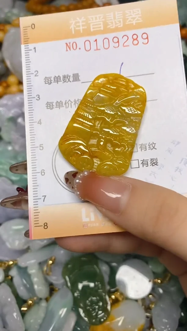 【闪购商品】翡翠颈饰未镶嵌闪购0109289多样性发其一