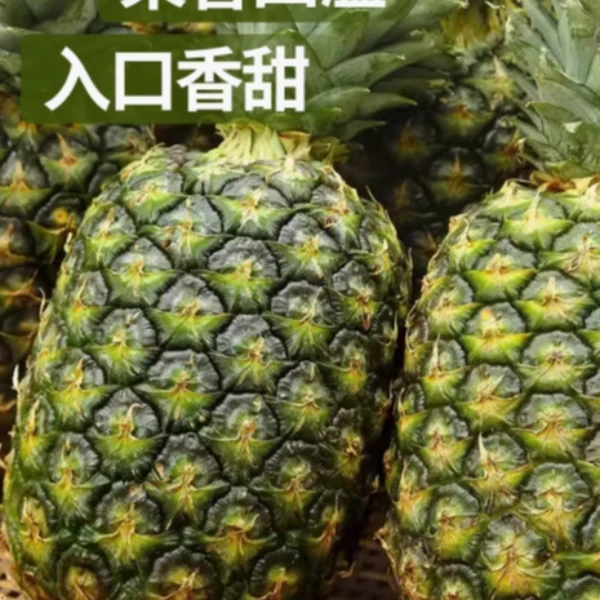 【红星果匠】商超款进口手撕凤梨入口香甜树上自然熟 【次日达】