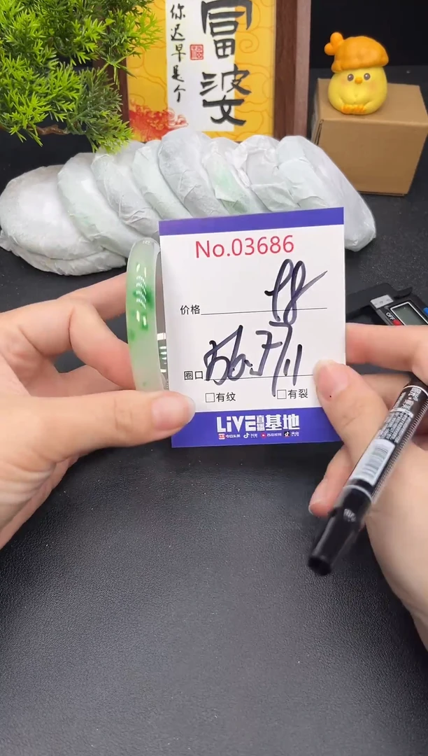 未镶嵌手镯翡翠3686