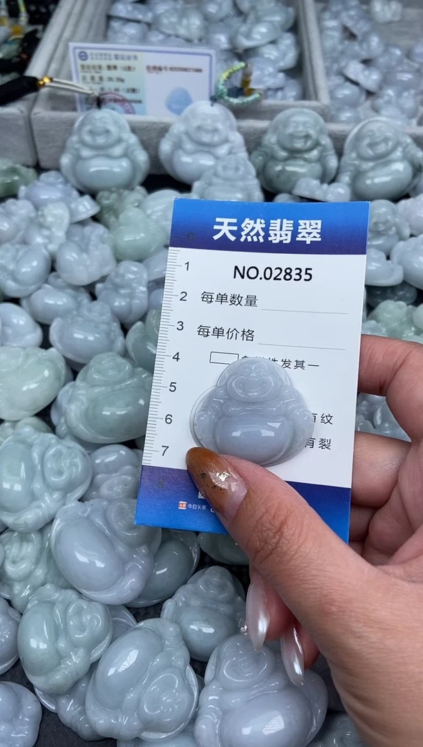 颈饰未镶嵌翡翠纯天然A货翡翠2835