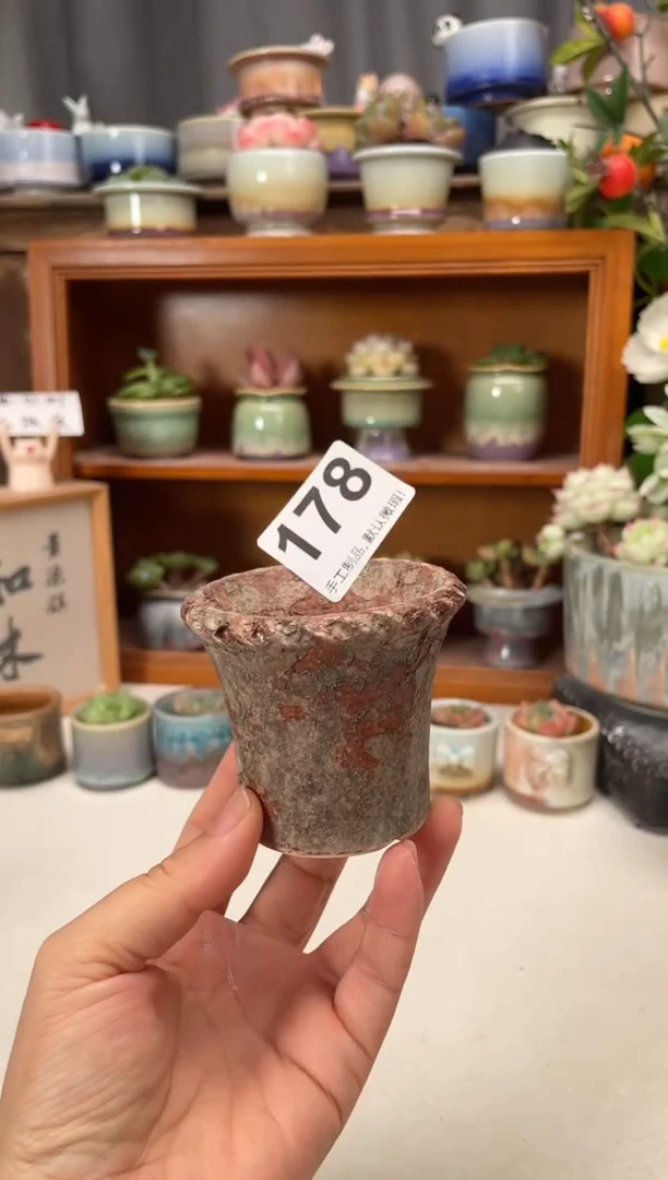瓷片178知木小芳花盆直播编号