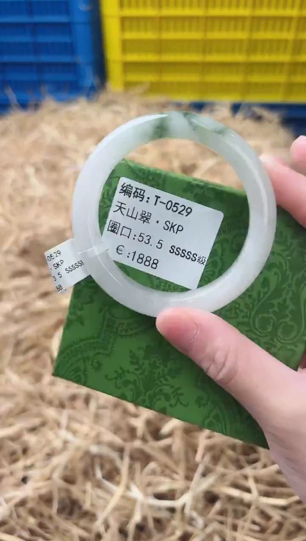 未镶嵌手镯石英质玉T-0529