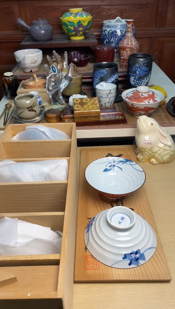 206号5只直播专用链接