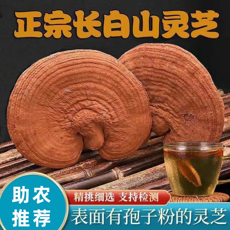 【助农推荐官专属】长白山赤灵芝带孢子粉可泡酒煮水煲汤的灵芝干货