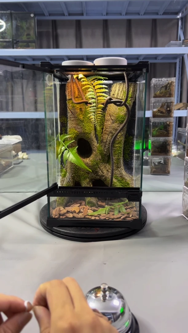 玻璃【长20宽20高30】爬宠造景缸睫角守宫树栖蜘蛛饲养箱爬宠爬虫缸