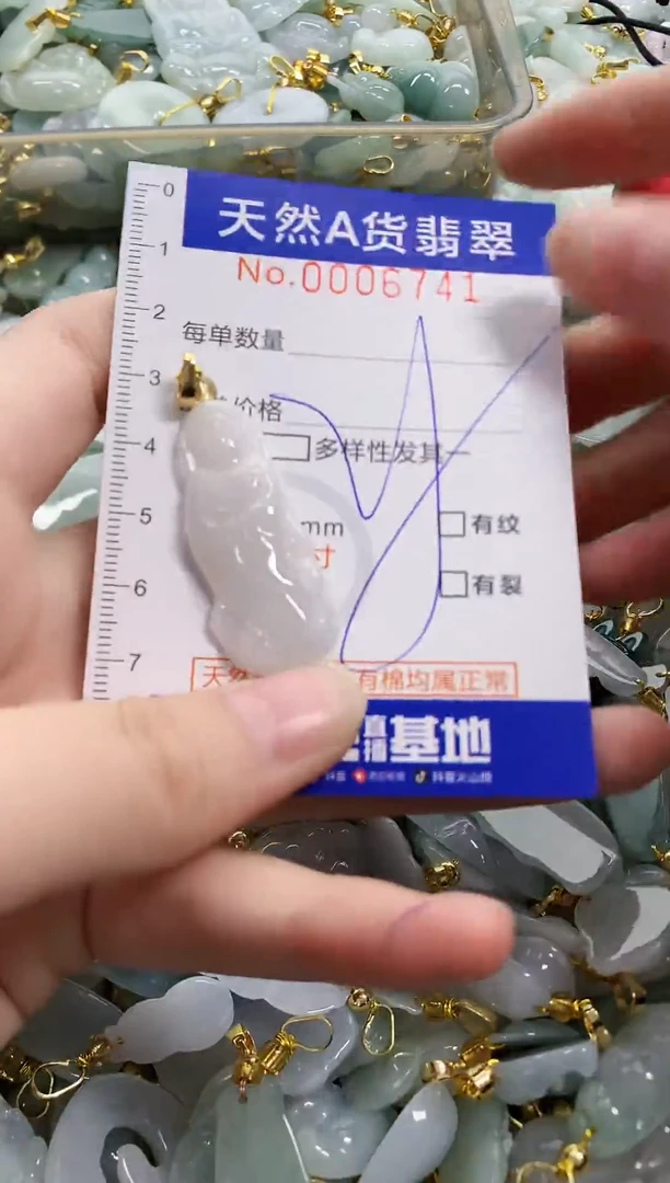颈饰未镶嵌翡翠天然A货翡翠