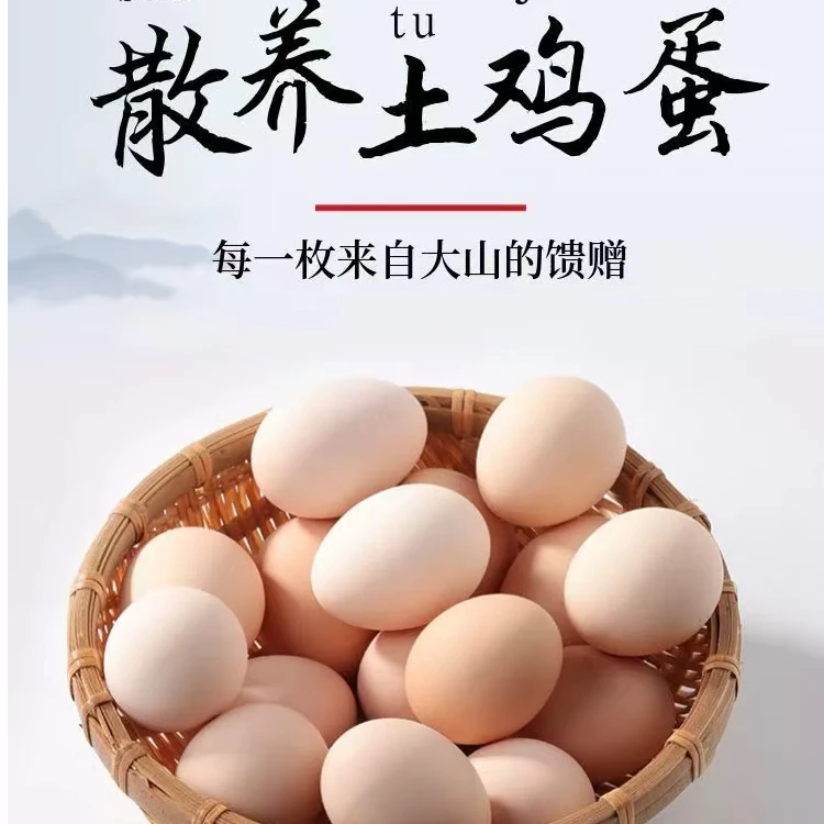 畲乡走地鸡散养土鸡蛋营养美味高端大气好上档气早餐晚餐地方特色
