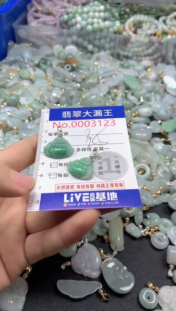 翡翠未镶嵌吊坠(不含链)3123