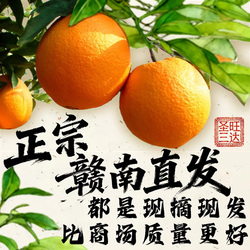 【正宗赣南脐橙】石灰橙10斤下树自然成熟原产地直发橙子新鲜应季