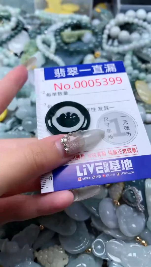 【闪购商品】翡翠吊坠(不含链)未镶嵌5399