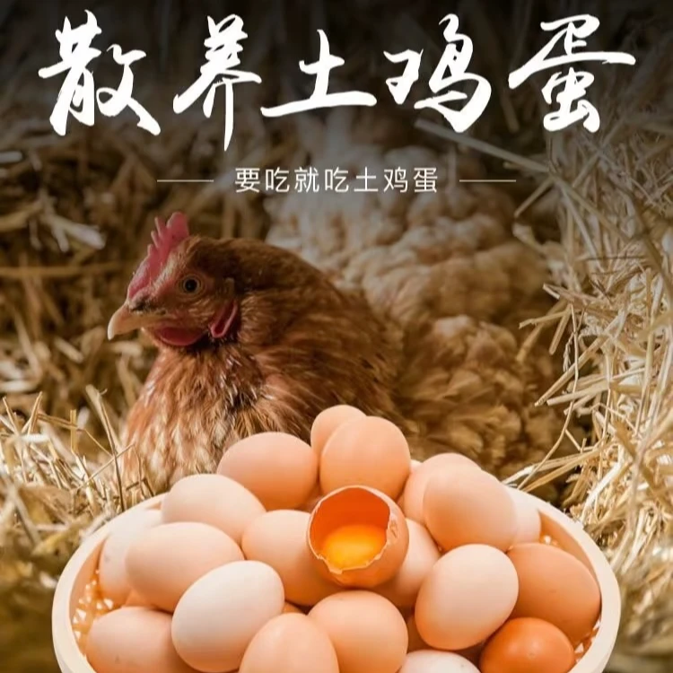 【整箱50枚】正宗土鸡蛋农家散养新鲜正宗草鸡蛋笨鸡蛋野外虫草蛋