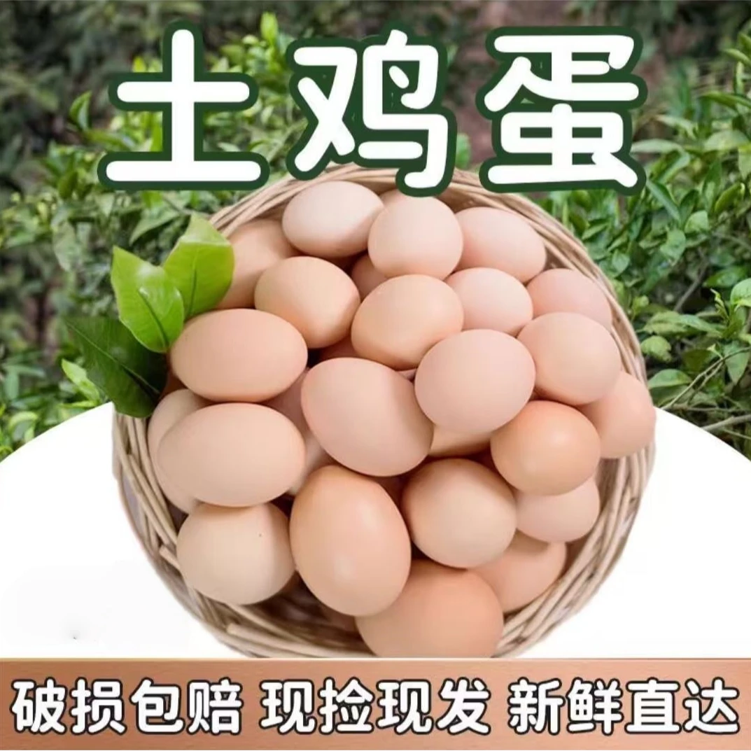 【顺丰京东包邮】60枚土鸡蛋 新鲜现捡现发 粉壳鸡蛋 破损包赔