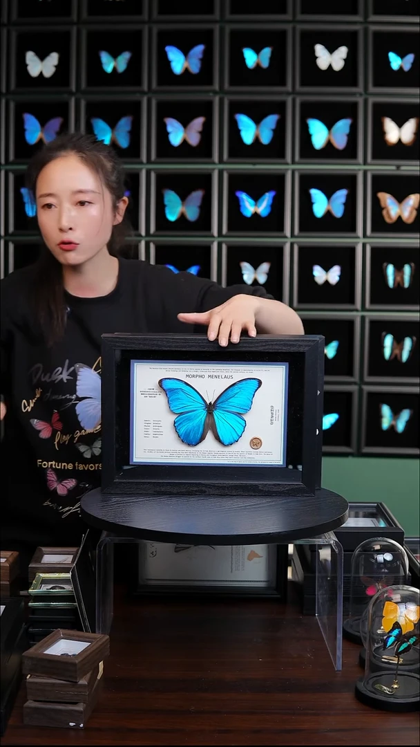 大蓝闪蝶新版本A4横版（带证书）