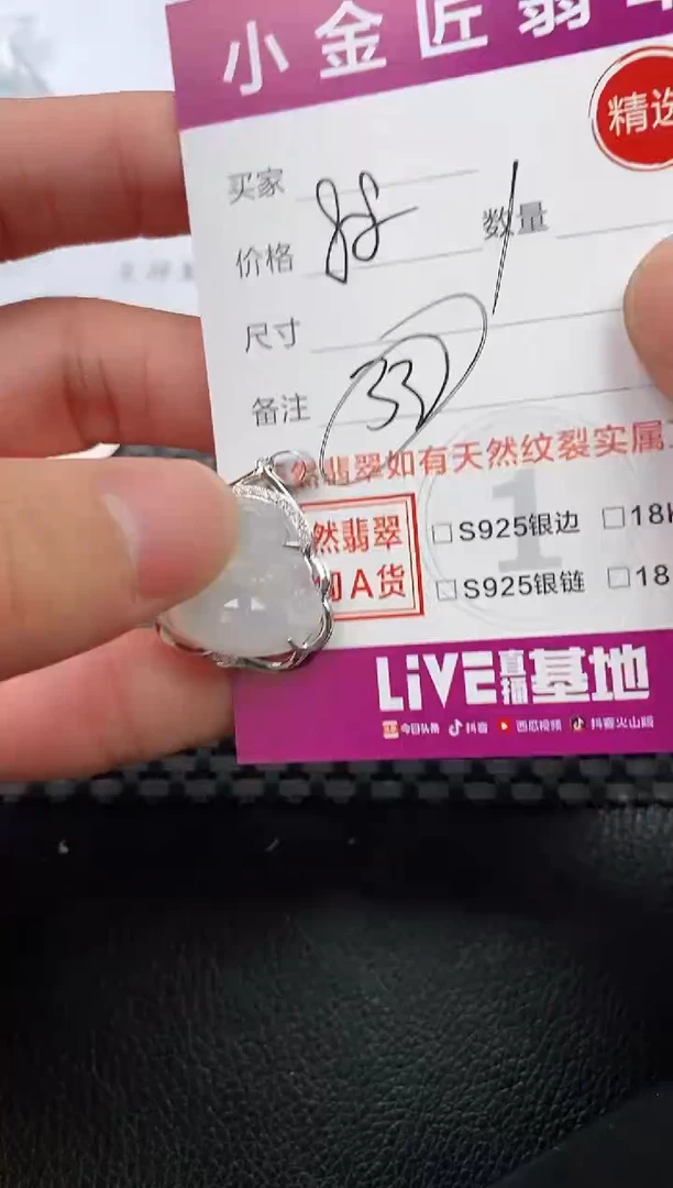 翡翠银S925镶嵌颈饰·