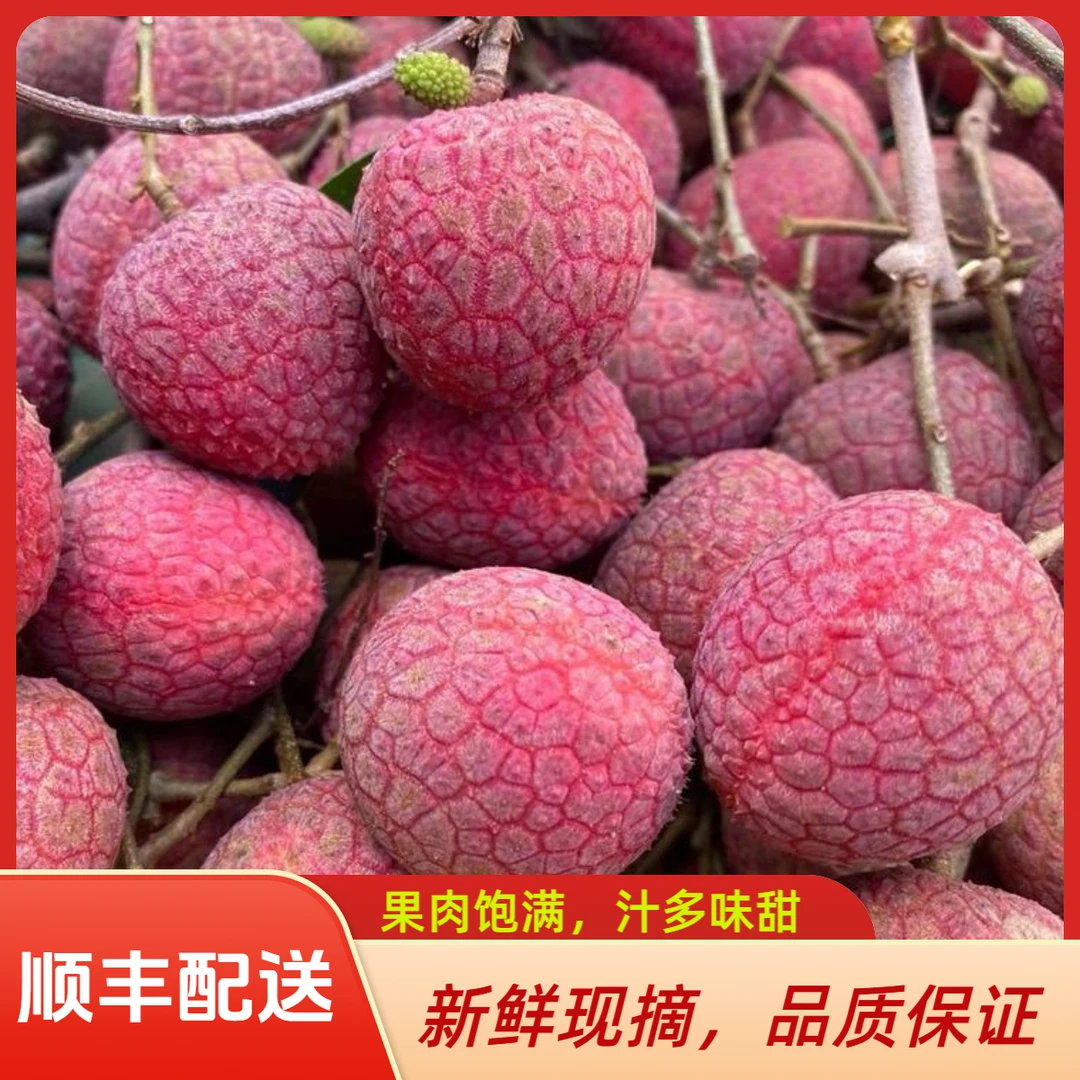 【顺丰冷链配送】福建老树黑叶荔枝当季现摘次日达同城送水果重8斤荔枝同城送福建省