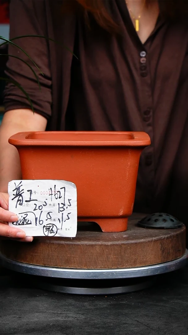 紫砂花盆花卉园艺4627瑕