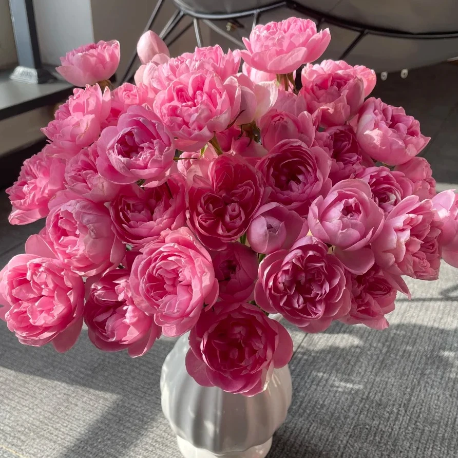 【云南鲜花】多头（午夜七星）玫瑰 1单普通包邮，2单以上顺丰冷链