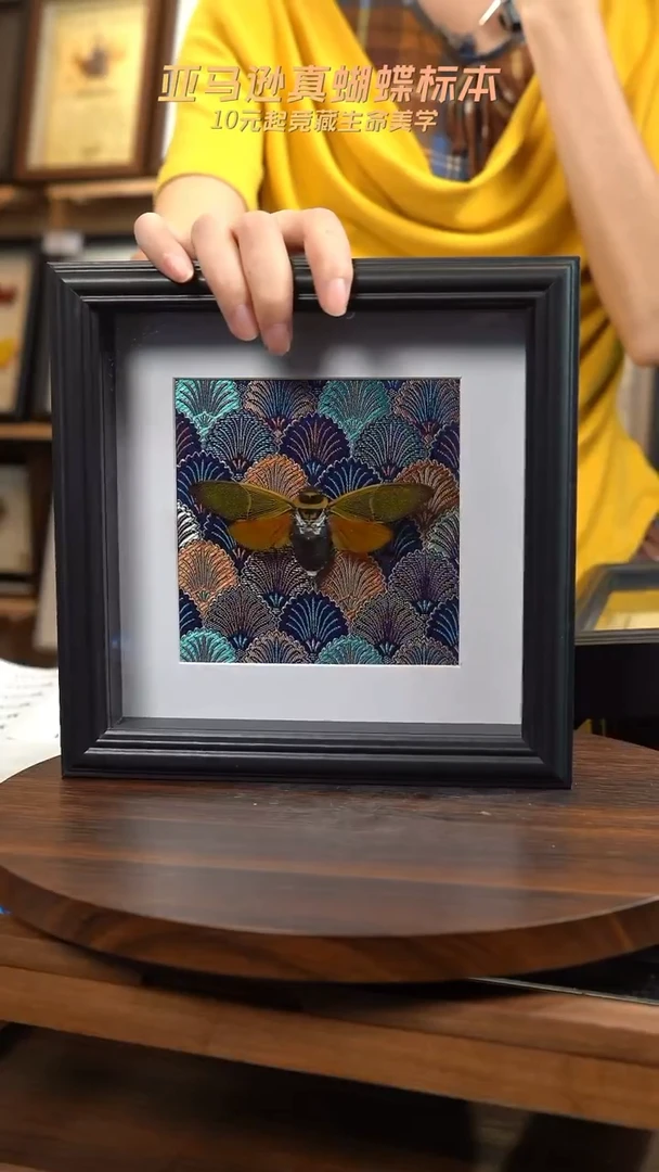 网翅蝉深蓝布底新款