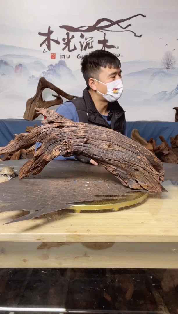 【闪购商品】A871木光沉木木光沉木