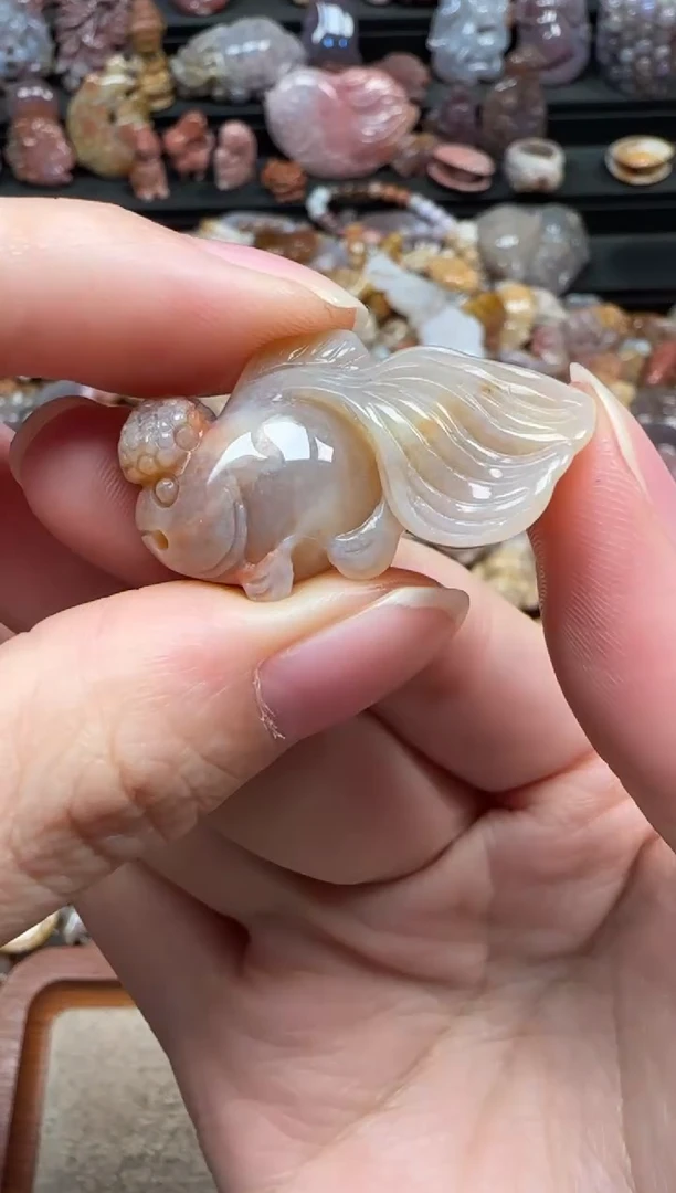 颈饰未镶嵌硅化珊瑚（珊瑚玉）725