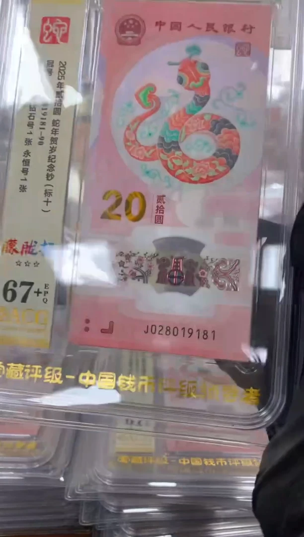 塑料 2025蛇钞 真钞 评级封装