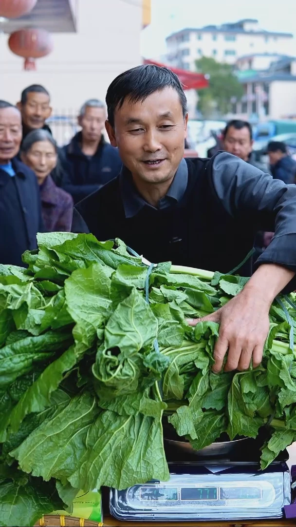 中国大陆农家枫菜3斤