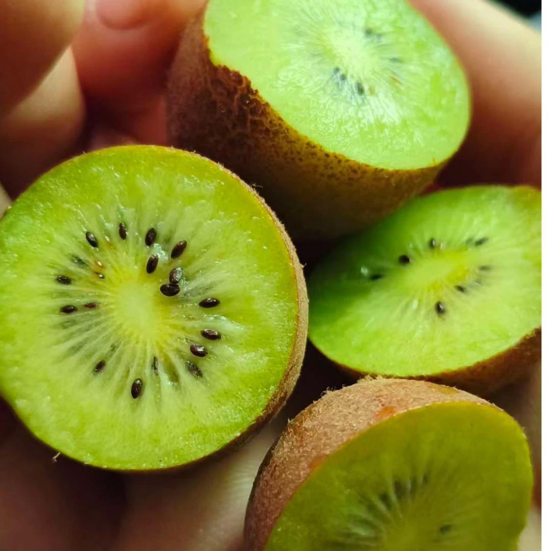 2025年河南新鲜野生猕猴桃孕妇水果中小果混发