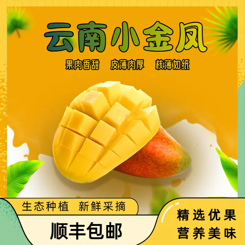 【云南元江】小金凤芒果18-20度爆甜！干热河谷现摘直发芒果节同款！