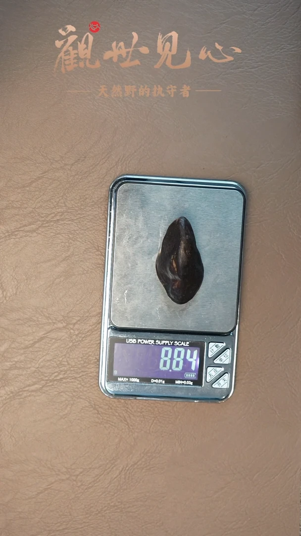 沉香沉香碎屑东马老沙巴沉水留疤 8.8g