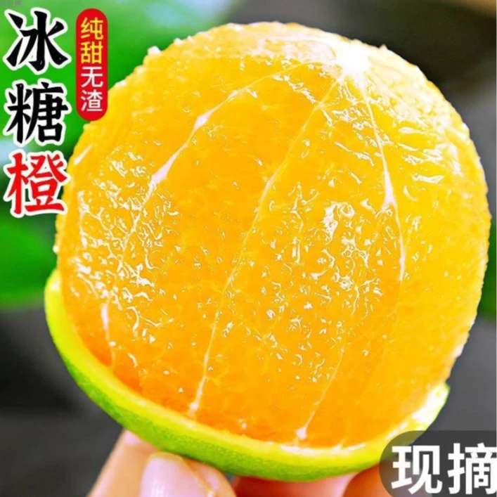 【哀牢山冰糖橙】云南青皮冰糖橙应季水果现摘皮薄多汁清甜溃疡果